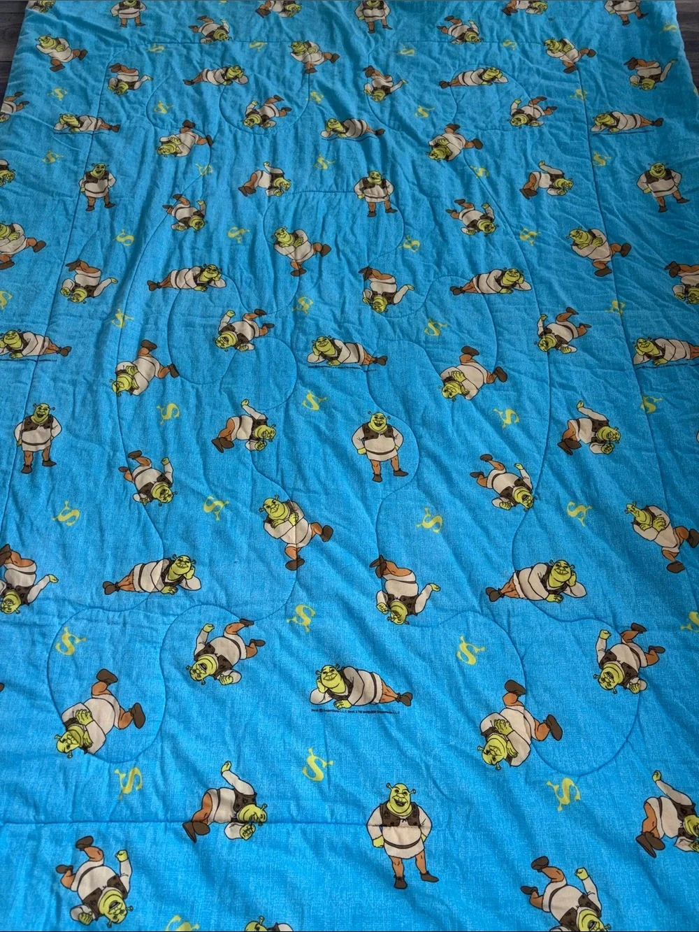 Shrek kids 2004